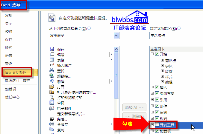 word2010开发工具