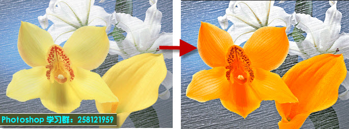 Lab调色案例2:调整花朵的颜色