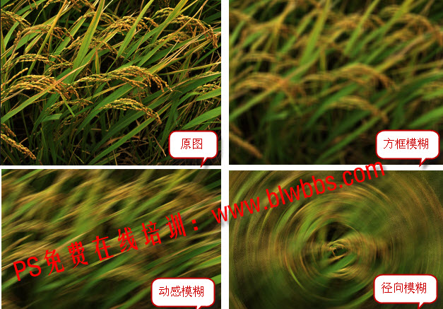 Photoshop方框模糊