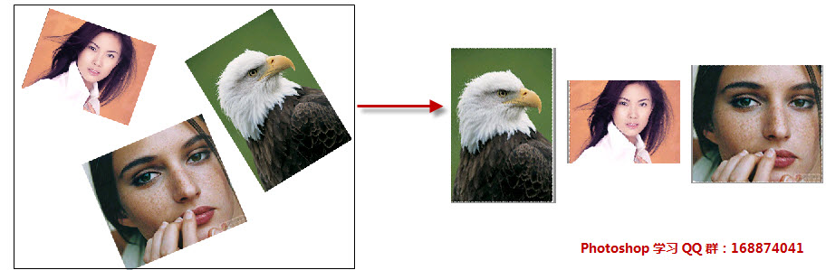 �ü���������Ƭ