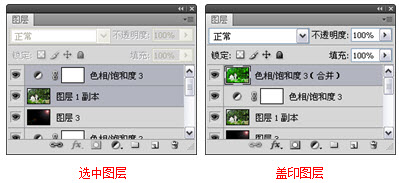PS盖印图层