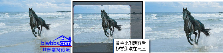 裁剪二次构图