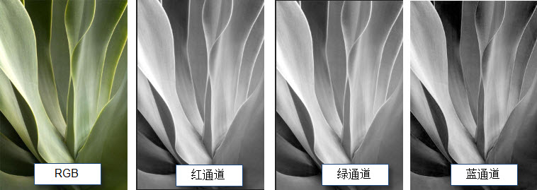 photoshop调色教程
