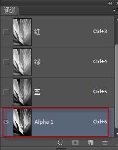 Alpha 1的通道