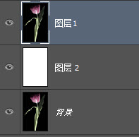 背景橡皮擦轻松抠图