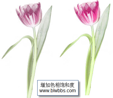 调整色相饱和度