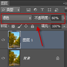 PS风景照片调色技巧案例:调出金黄色艳丽秋季树林
