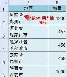 excel单元格内换行之活学活用案例:图表编排