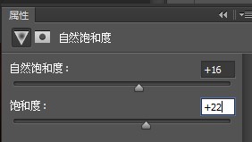 “自然饱和度”调整图层