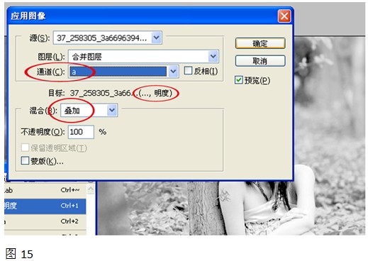 应用图像对话框