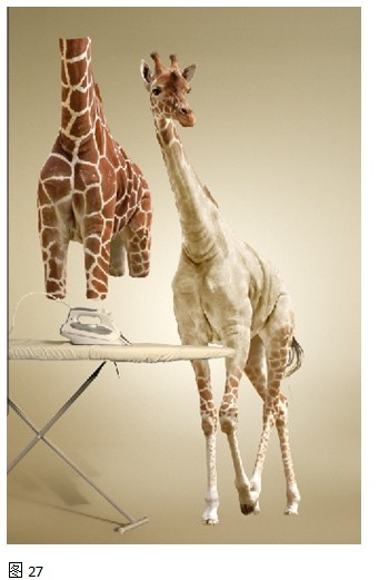 Photoshop合成图片教程案例二：脱掉“衣服”的长颈鹿（下）