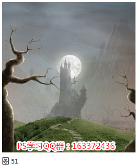 在场景中添加更多的树木