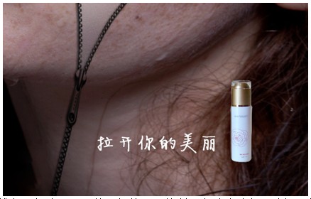 静蕾字体