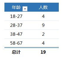 数据透视表