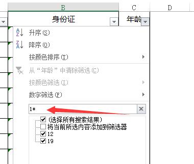 Excel筛选技巧
