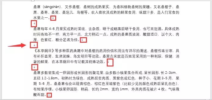 Word批量删除空行
