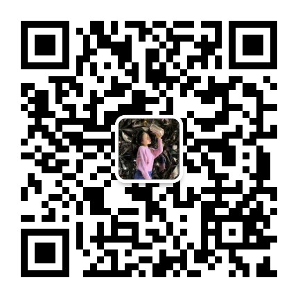 ps神经网络AI滤镜显示出错
